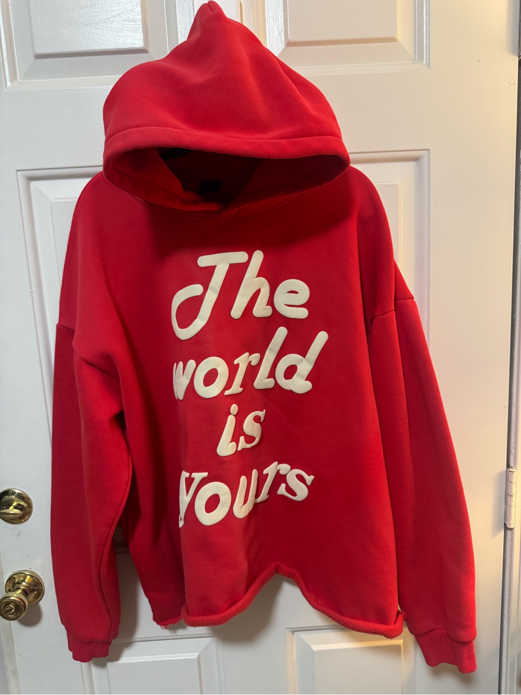 Millii Merch Red Cropped Hoodie W/ Pockets “The World Is Yours” Mens Sz Xxl Rare